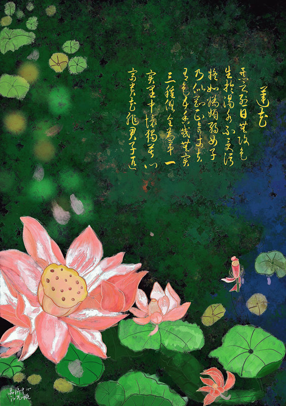 《莲花》江艺璇